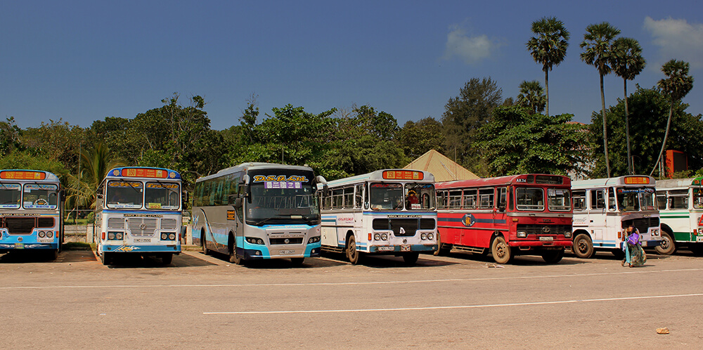 The One With Buses
