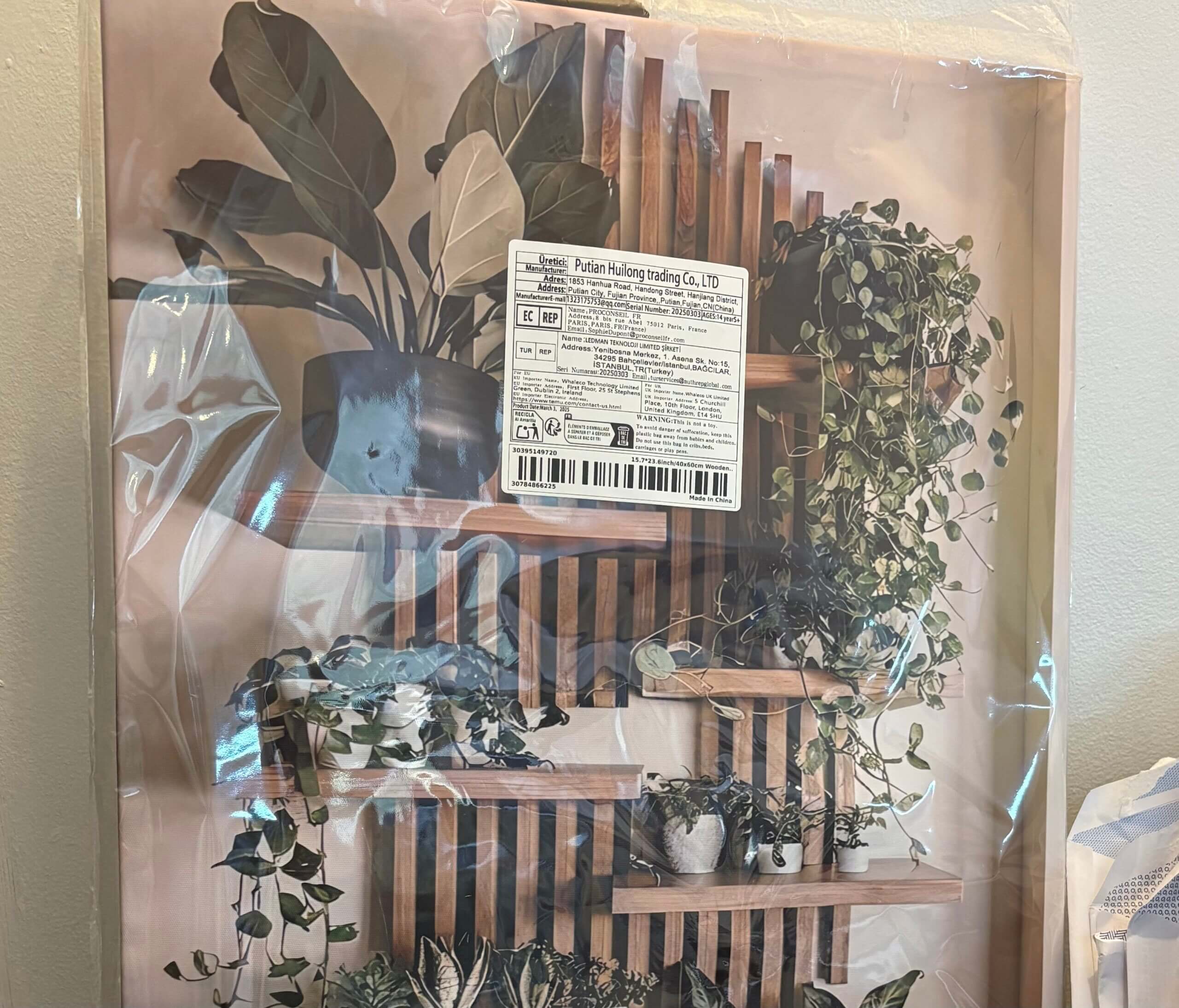 The One With A Plant Stand
